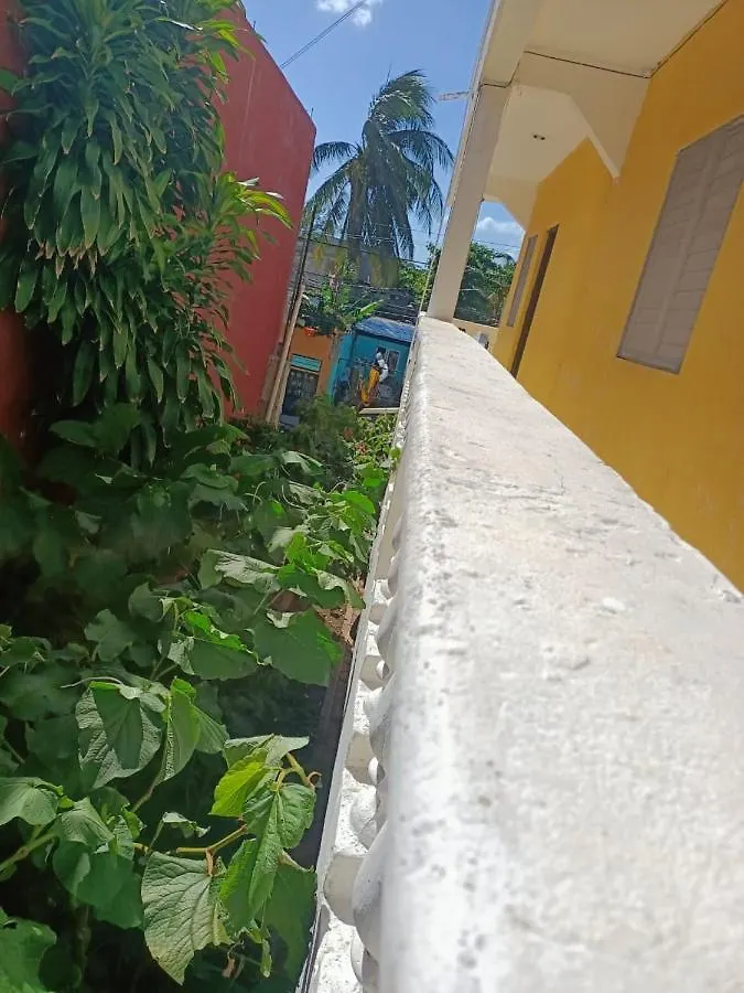 Tucan Playa del Carmen Mexico